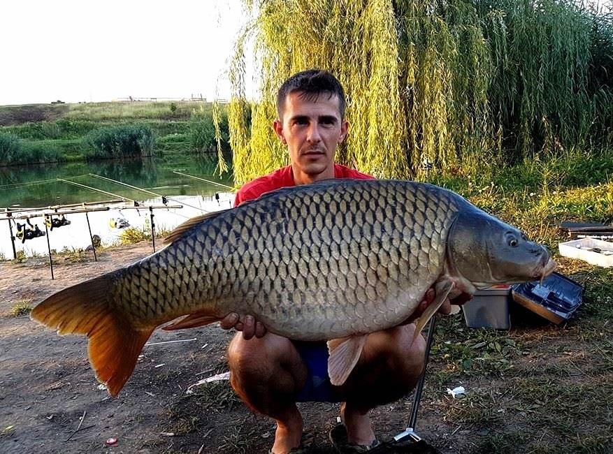 Cum abordam o partida de pescuit pe lacul Green Paradise?